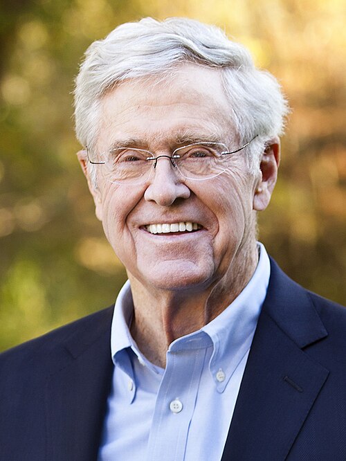 Koch network